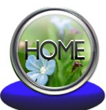 Home Button